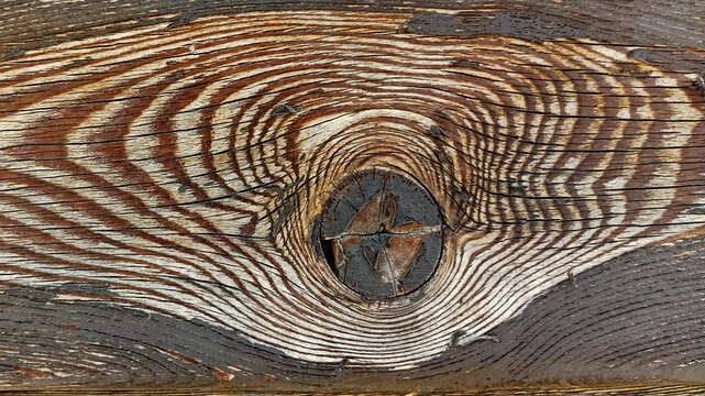 longitudinal section of wood with a large knot and a natural pattern burnt on the surface.