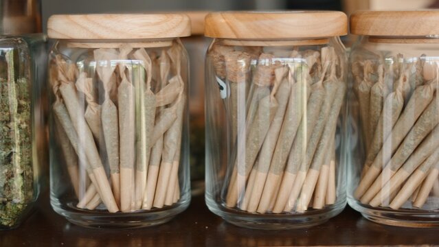 Cannabis pre rolls in glass jars on display at a retail dispensary