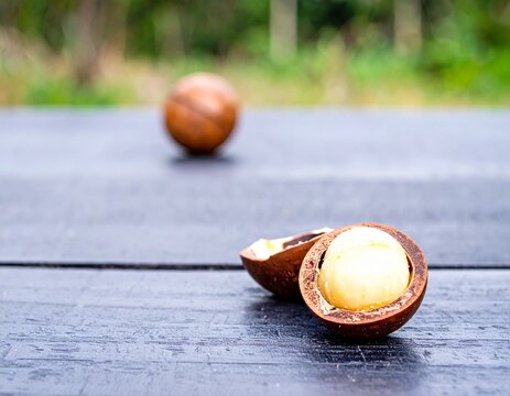 macademia nut