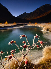 Fototapeta premium Autumn in Altai Republic: Golden Larch Forests and Alpine Streams