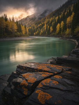Autumn in Altai Republic: Golden Larch Forests and Alpine Streams