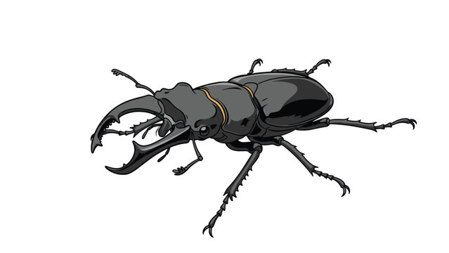 Detailed illustration of a stag beetle with large mandibles shown from a side perspective on a clean white background.