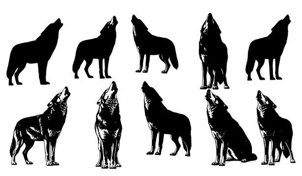 Collection of ten black silhouettes depicting a howling wolf in various dynamic poses and perspectives
