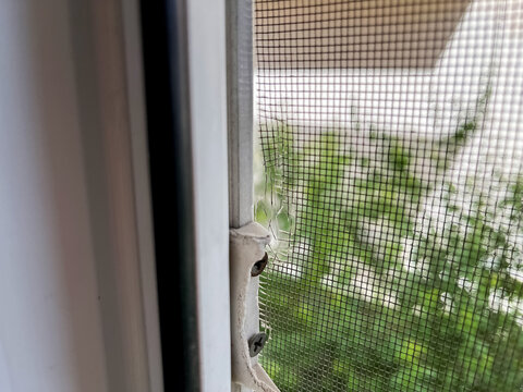 Close up of a broken mesh screen on a window frame, torn and fraying, allowing insects to enter the home