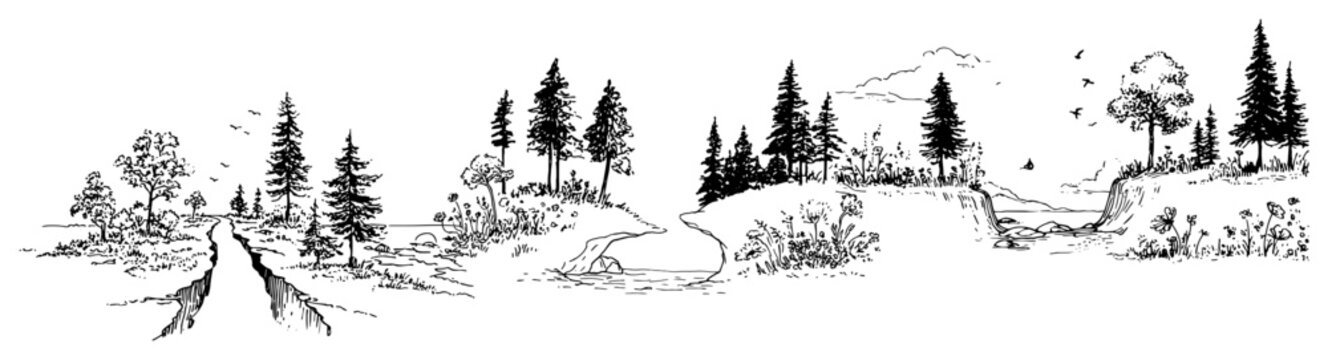 Panoramic landscape with winding dirt path and pine forest in detailed engraving style