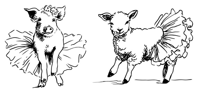 Pig and lamb wearing ballet tutus in cute animal ink sketch style