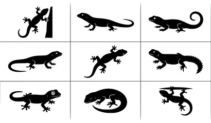 Lizard Gecko and Salamander Black Silhouette Vector Illustration Collection © Crafts Home