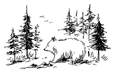 Wild bear walking through pine forest trees in minimalist line art style © Celestynka