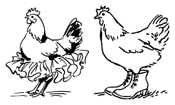 Chicken wearing ballet tutu and boots in funny farm animal ink sketch style