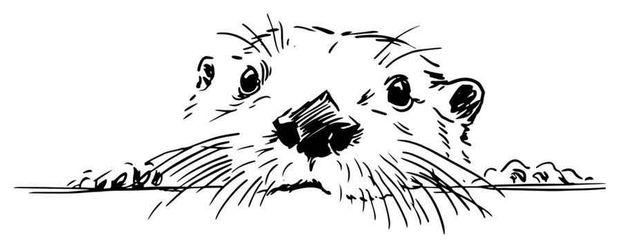 Otter face peeking over water surface in minimalist line art style