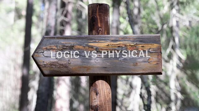 An aged arrow shaped wooden sign stands firmly in a dense forest. The weathered plank points left and prominently displays the text Logic versus Physical under natural daylight