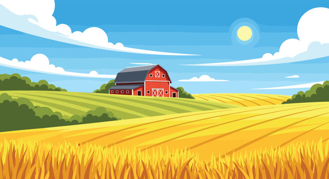 Picturesque rural farm landscape with red barn building in golden wheat fields under clear blue sunny sky with white clouds.