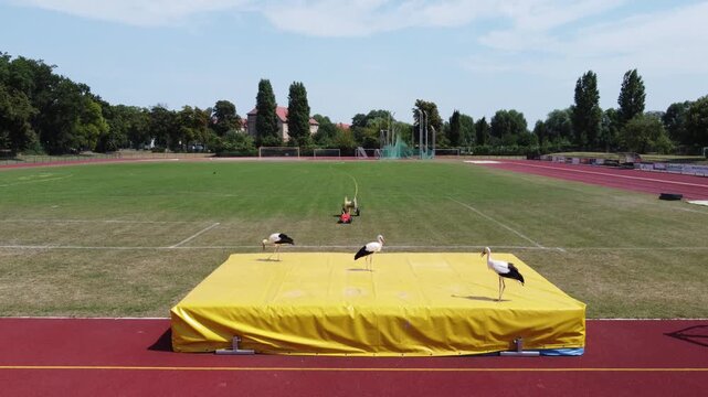 St&ouml;rche im Wittenberger Stadion