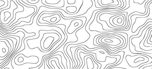 Modern Wavy white topography abstracted on a white backdrop. cartography topographic map. Topographic map background geographic line map. © Abd