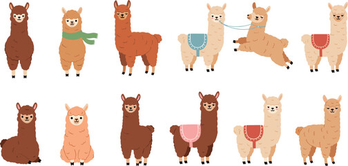Fototapeta premium cute llama and alpaca vector icon set featuring fluffy farm animal characters wearing colorful blankets and scarves