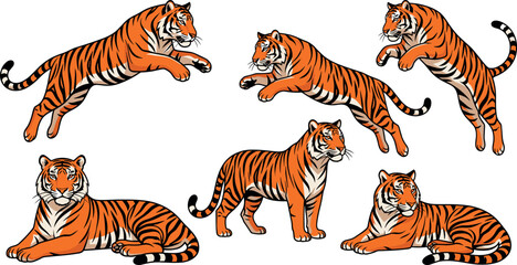 Bengal Tiger Vector Illustration Set Featuring Majestic Wild Cats in Various Poses Including Jumping, Standing, and Lying Down Isolated on White Background © MSTNURAJA