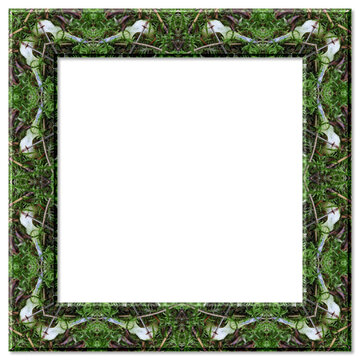 Organic moss and twig frame with transparent background