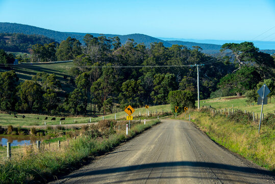 Country Road in Tasman Peninsula - Tasmania