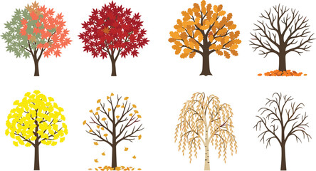 Obraz premium Autumn Seasonal Tree Collection Featuring Colorful Falling Leaves Bare Branches and Forest Botanical Elements for Nature Vector Illustration Design Projects