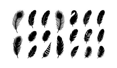 Minimal monochrome feather silhouette collection vector illustration isolated on white background © MdSajedurRahman