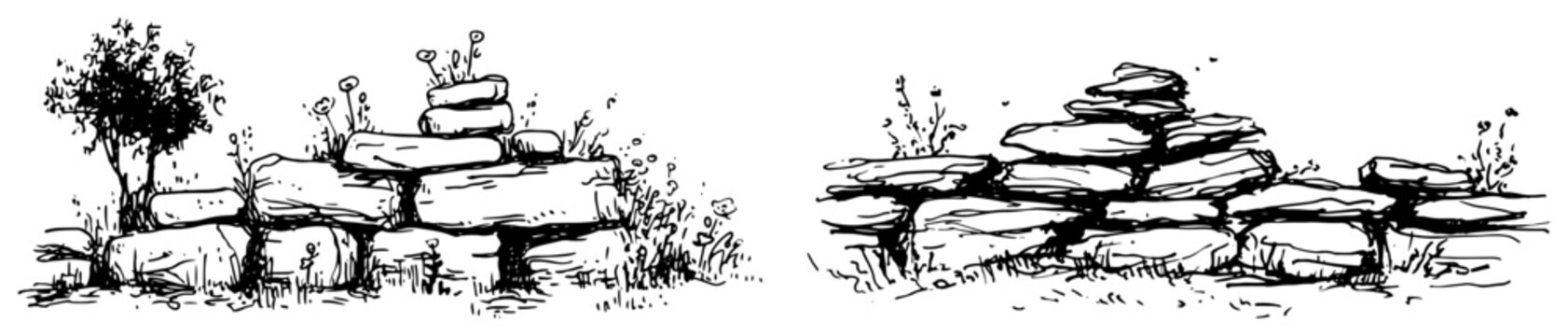 Low stone wall with wild shrubs and grass in hand drawn sketch style