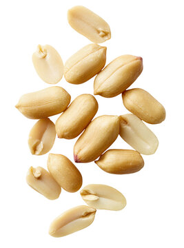 Isolated shelled peanuts scattered as a healthy snack ingredient for food preparation