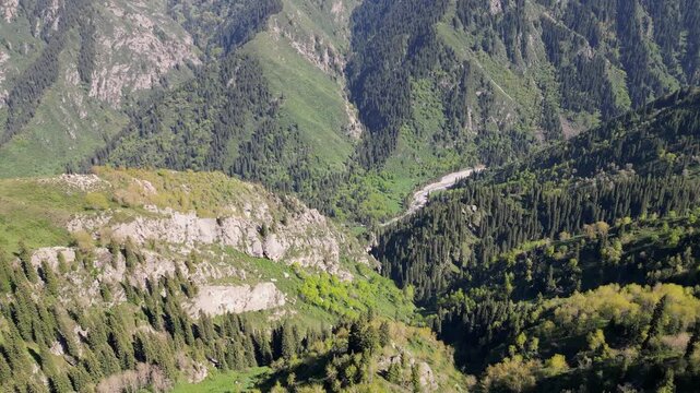 A majestic aerial view of the Trans-Ili Alatau mountain range and the Left Talgar gorge with its winding river and lush green coniferous forests