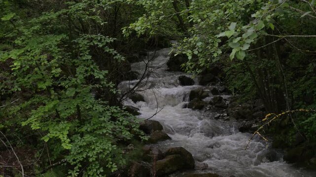 Cascata naturale nel fiume