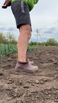 Vertical side-view video of a woman wearing rubber clogs covering planted seeds with her feet in a garden and gently firming the soil at the end. Spring gardening work on a backyard plot.