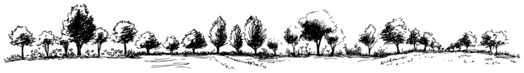 Natural tree panorama and scenic park landscape in hand drawn sketch style © AdrianGebert