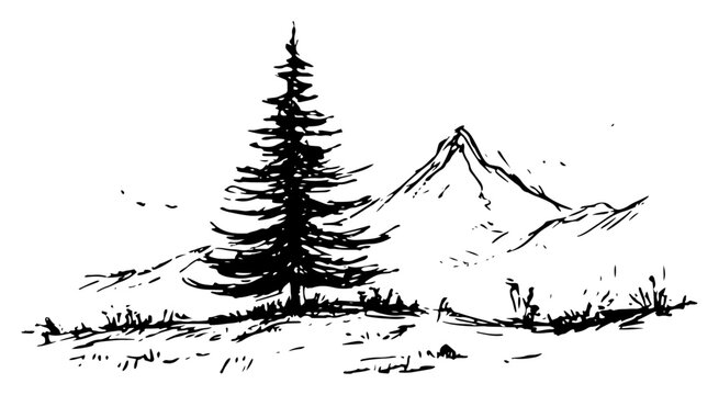 Conifer tree in mountain landscape scene in ink drawing style