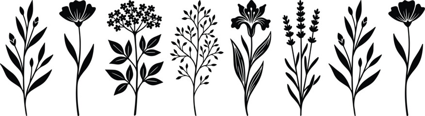 Collection of hand drawn black floral silhouettes featuring minimalist wildflower stems and botanical herbs for elegant wedding invitations greeting cards and decorative nature vector design © Limon