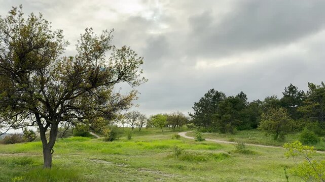 A quiet countryside path curves gently through a vibrant green field. The dramatic natural landscape brings a mixed feeling of peaceful calm and oncoming storm under a heavy, cloudy sky.