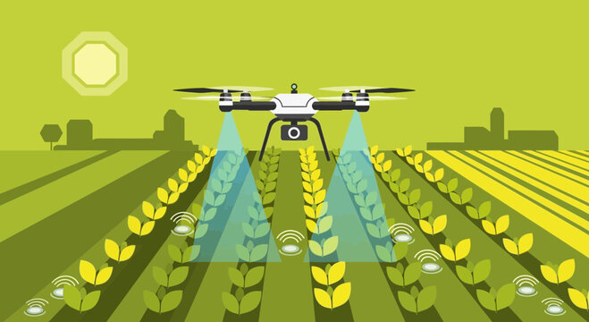 Drone spraying crops in a smart farm, precision agriculture technology, modern farming concept