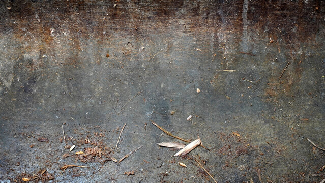 A close-up of a weathered concrete or metal wall showing rust stains, dirt, and organic debris like twigs and dried leaves.