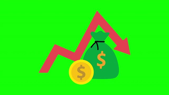 Financial Loss and Economic Decline Concept with Falling Arrow Money Bag and Coin Animation