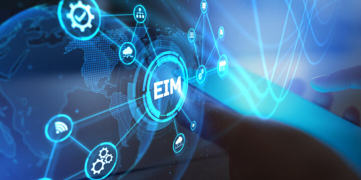 EIM Enterprise Information Management for Data Integration and Digital Transformation.