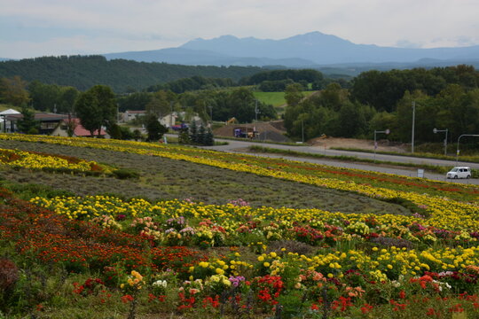 北海道 美瑛町のぜるぶの丘（亜斗夢の丘）