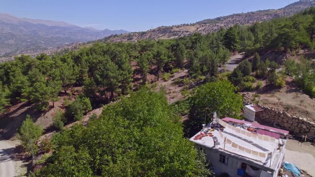 Aerial view of people sun-drying handmade food sheets on a rooftop, showing traditional rural food preparation, summer preservation, community work, and authentic daily life in a warm village setting.