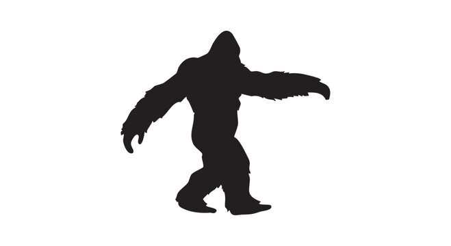 Bigfoot silhouette walking through wilderness showing cryptid creature in forest habitat for mystery themes and vector.