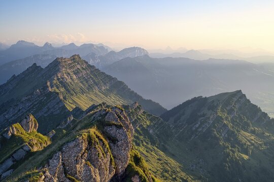View from Europe's highest Nagelfluhberg Speer, Mount Federispitz with Central Swiss Alps in the evening light, Canton St. Gallen, Switzerland