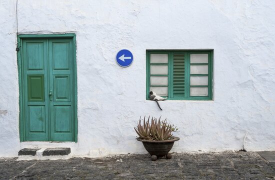 Typical white house with green door and green window with cat, Teguise, Lanzarote, Canary Islands, Spain