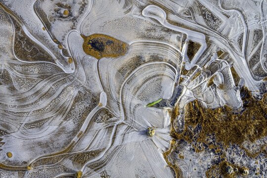 Ice structures on the ground, Kerlingarfj&ouml;ll, Su&eth;urland, Iceland
