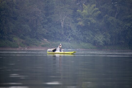 Fisherman with boat on the Mekong, Luang Prabang, Laos