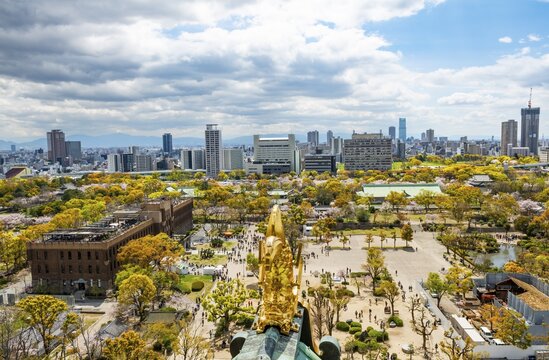 City view with skyscrapers and Osaka Castle Park with cherry blossoms, view from Osaka Castle with golden Shachihoko fish dragon figure, Chuō-ku, Osaka, Japan