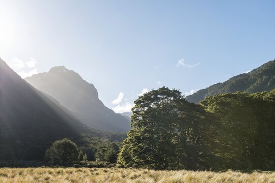 Mountains and forest, Iris Burn Flat, Kepler Tack, Fiordland National Park, Southland, New Zealand