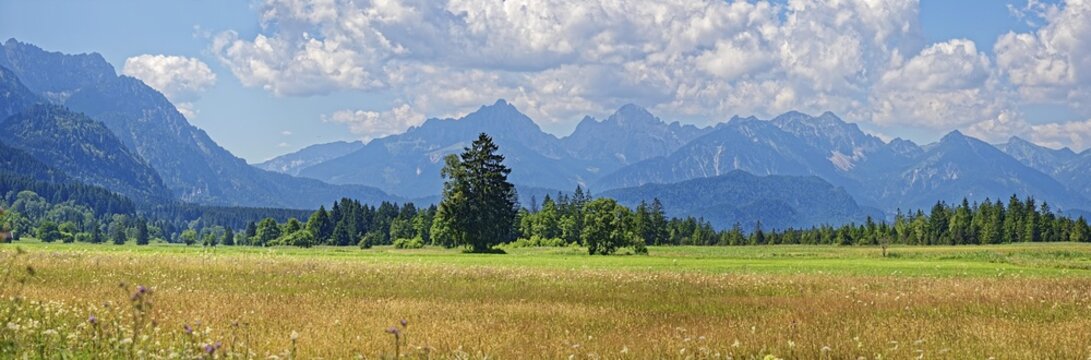 Nature biotope with meadow and Ammergau Alps, alpine upland, Buching, Schwangau, Bavaria, Germany