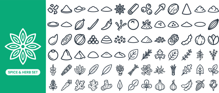 Spice and Herb Seasoning outline icon set. Featuring chili pepper, cinnamon stick, garlic bulb, basil leaf, and pepper grinder symbols. Editable stroke vector icons for spice brands and recipes.
