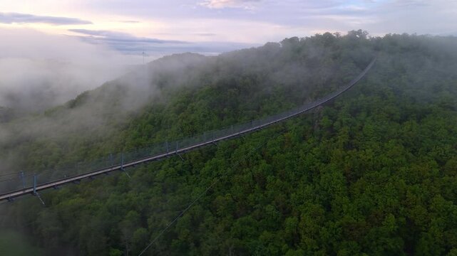 Views of Mosel, Germany from the hills with a high bridge in the fog
