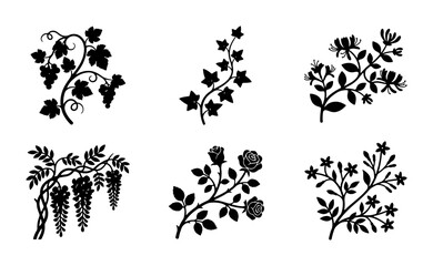 Fototapeta premium Elegant Botanical Vector Silhouettes: Floral Vines, Grape Clusters, Rose Sprays, Wisteria Swags, and Delicate Blossoms for Decorative Design Elements